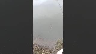 Ловля щуки на спиннинг зимой! Fishing pike