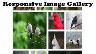 Responsive Image Gallery | Responsive Image Gallery Bootstrap | Image Gallery  | Bootstrap Gallery