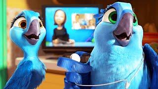 RIO 2 Clip - "We Are Not The Only Ones" (2014)