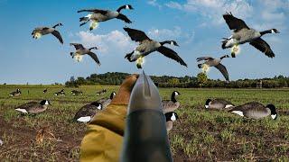 26 BANDED HONKERS ON OPENING DAY!! (INSANE GOOSE HUNT)