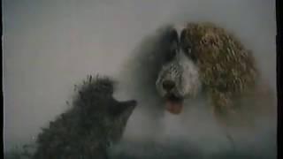 Hedgehog in the fog with english voices.