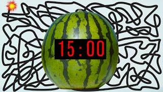 15 Minute Timer Bomb [WATERMELON] 