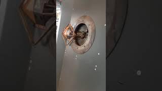 Stirrup Rebar Bending CNC Machinery