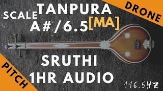 Tanpura Sruthi - Drone - A# Scale or 6.5 Kattai - Ma (Madhyamam/ Madhyam) - 116.54Hz