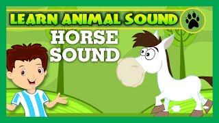 Animal Sound for Children | Horse Sound, Duck Sound, Cow Sound | Kids Hut