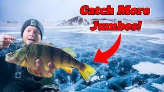 Catching Jumbo Perch on Early Ice | Epic Ice Fishing Adventure (Underwater Camera)