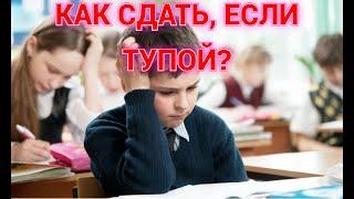 КАК СДАТЬ ОГЭ, ЕСЛИ ТЫ НИЧЕГО НЕ ЗНАЕШЬ? ЛИЧНЫЙ ОПЫТ!