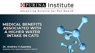 Medical Benefits Associated With A Higher Water Intake in Cats with Dr. Andrew Sparkes