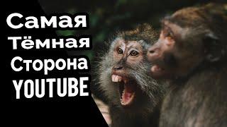 КУЛЬТ НЕНАВИСТНИКОВ ОБЕЗЬЯН НА YOUTUBE | MonkeyHateGate