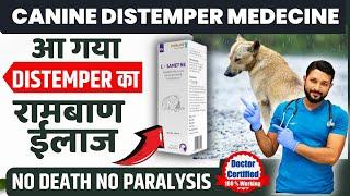 Canine Distemper Treatment At Home In Dogs | Symptoms | Recovery | Dog Distemper Treatment In Hindi