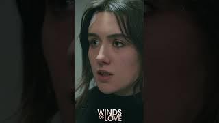 Zeynep serbest bırakıldı | #windsoflove #shorts #ruzgarlitepe