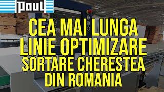 Linie optimizare si sortare cherestea Paul C14 Germania