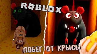 ROBLOX БЕГАЮ ОТ КРЫСЫ В ЛАБИРИНТЕ/Сумасшедшая крыса преследует нас * Cheese Escape *