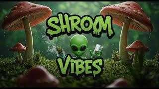 SHROOM VIBES - Psy Dub Mix (Psychill Dub, PsyDub Chill Out, Psy Dub Ambient)