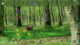 Wow Cryptic Forest Escape walkthrough part2. .