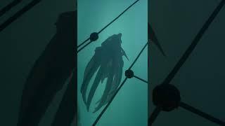 This is one of the coolest and most terrifying things I’ve seen #seaofthieves #sot #kraken