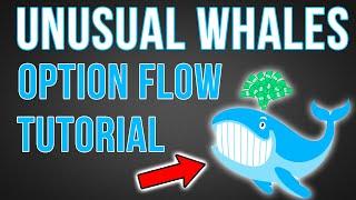 How To Follow Large Option Order Flow | Unusual Whales Options Flow Tutorial