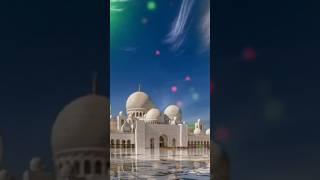 Md Farhad 786 #shorts #youtubeshorts @mdfarhad786x