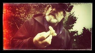 Mushroom Foraging with Paul Stamets