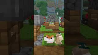 Hamster Village Minecraft Naturalist Addon #shorts