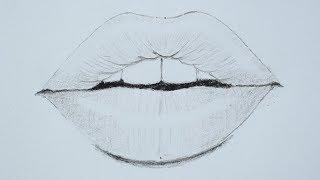 How to draw lips using pencil for beginners