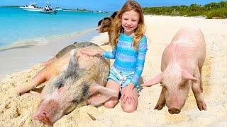 Nastya and her Family trip to the pig island