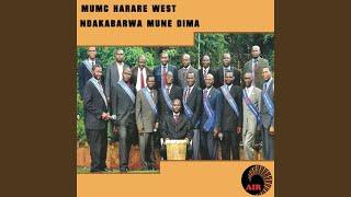 Tsitsi Nedzi Dzamira Dzoka