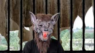 Werewolf Adult Mask - Halloween Masks | Trendyhalloween.com