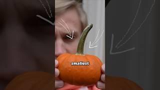 Carving the World's Smallest Pumpkin! #Halloween #pumpkin #tiny