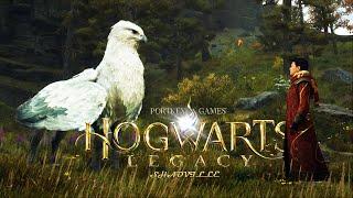 Изучение тварей и поиски сокровищ ▬ Hogwarts Legacy Прохождение игры #15