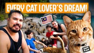 I can't believe a Cat Beach even exists in Malaysia!