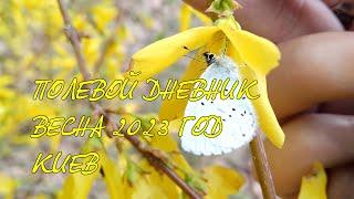 Полевой Дневник Биолога №1. Весна пробуждается! Дикое полесье и леса Украины. Удивительный мир