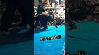 Yang Belum Lihat ‼️ proses penyembuhan kesurupan jaranan #viralvideo #shorts #kesurupan