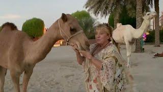 German Woman Lives With 40 Camels In Dubai Desert