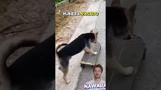 Hace parada estratégica para seguir en su patineta.