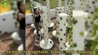 CHANGTIAN hydroponic seed systems hydroponics#farm #farmer # hydroponics #hydroponicgarden