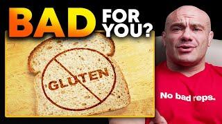 Gluten Is Bad For You- BULLSH*T!