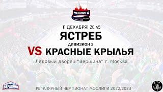 ХК ЯСТРЕБ - ХК КРАСНЫЕ КРЫЛЬЯ 11.12.2022 РЕГУЛЯРНЫЙ ЧЕМПИОНАТ 2022/2023 МОСЛИГА