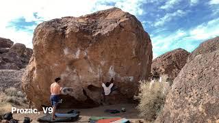 Bishop「Prozac」V9