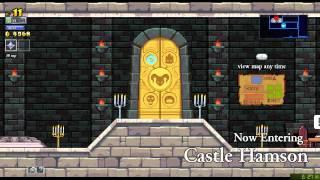 Rogue Legacy in 13:41 (WR from v1.0.9)