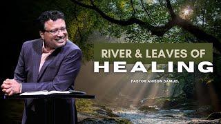 River & Leaves of Healing | 8 June 2025
