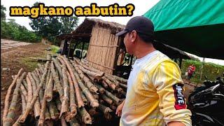 MAGKANO ANG PUHUNAN SA 8,000 SQM NA AMPALAYAHAN?