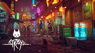 STRAY | Teaser Trailer