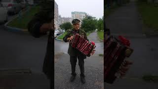 Katusha song by old retired soldier in khabarovsk at summer