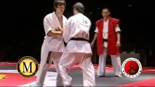 2010 WKO World Kumite Championships Middleweight Seventh Fight Level 2