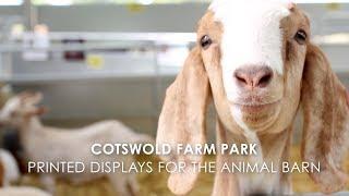 Cotswold Farm Park - The Animal Barn