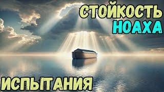 Ноах, часть3️⃣. Недельная глава Торы. Рав Байтман. На Б-га надейся или Сам не плошай?