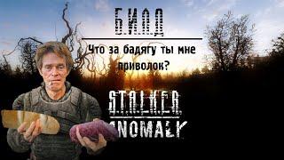 БИЛД S.T.A.L.K.E.R ANOMALY