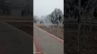 Winter in Bukhara