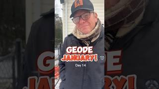 GEODE January Day 14 #geode #geodejanuary #geodeornodule